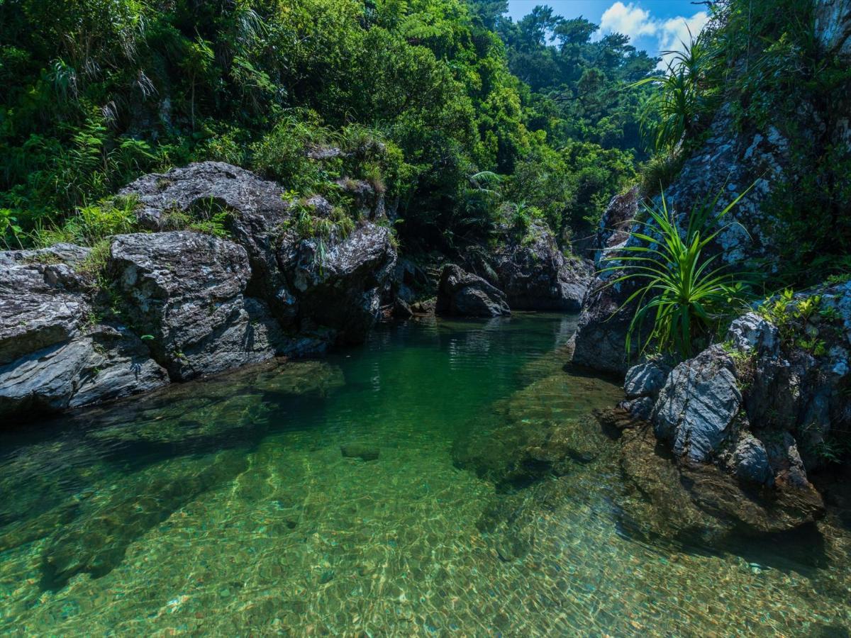 Ada Garden Hotel Okinawa Kunigami Экстерьер фото